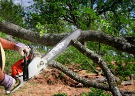 Best Stump Grinding and Removal  in Pleasant Gap, PA